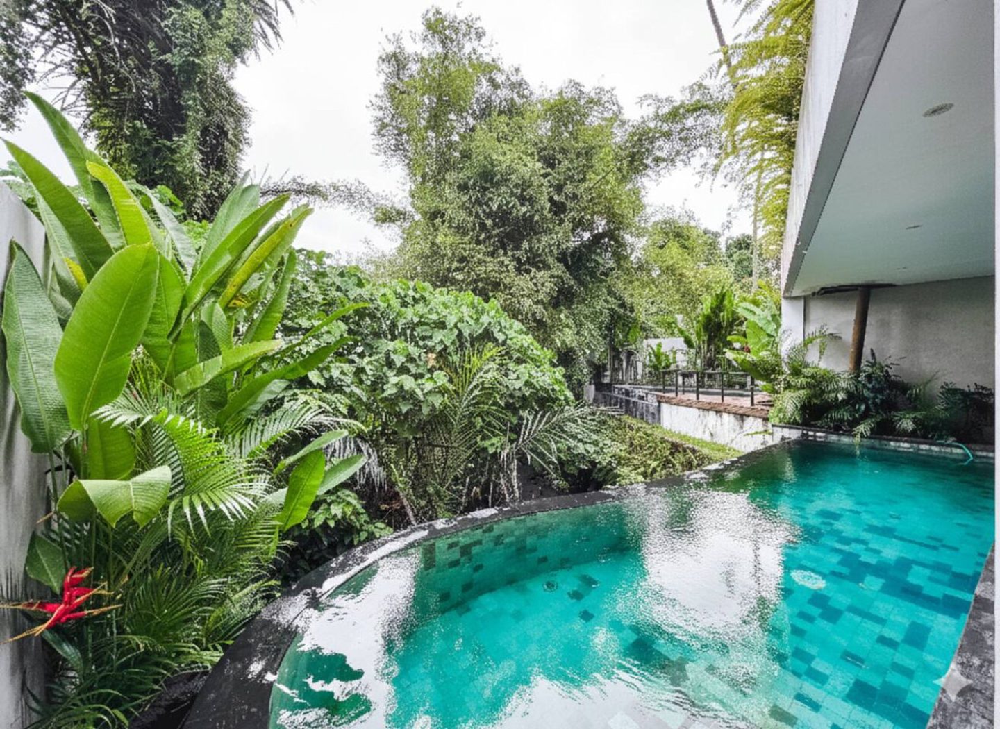 Pool edge running into heliconia and banana palm